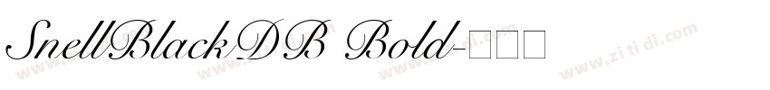SnellBlackDB Bold字体转换